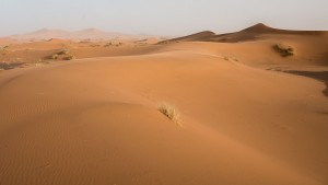 deserto del Sahara